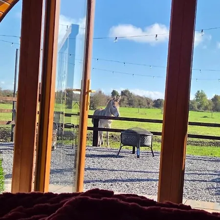Blackditch Hideaway Kır Evi Kildare