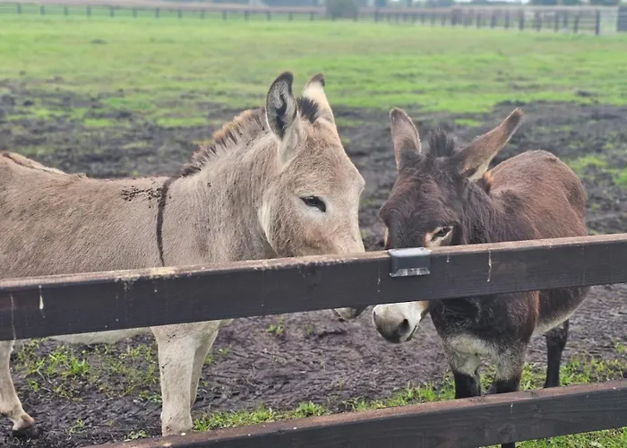 Hétvégi ház Blackditch Hideaway *