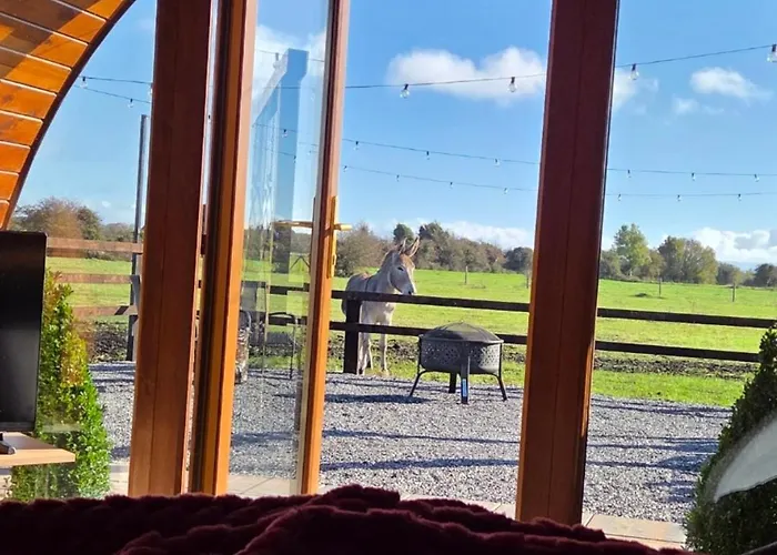 Blackditch Hideaway Kır Evi Kildare